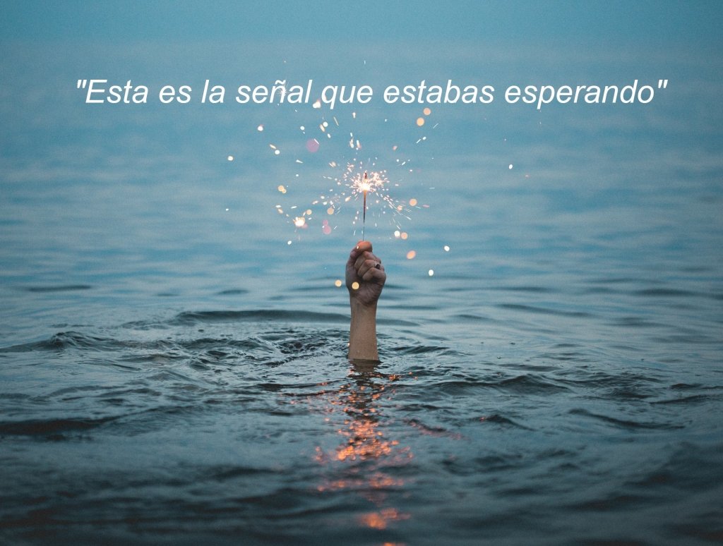 Esta es la señal que estabas esperando, una agencia de mercadeo digital
